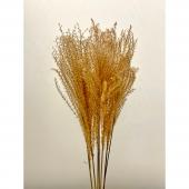 ドライ】東花/ススキ 10本 ナチュラル/60113 - 花材通販はなどんやアソシエ
