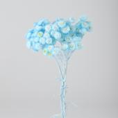 【ドライ】東花/イモーテル 約10g 空 /79040