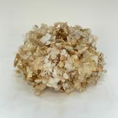 即日★【プリザーブド】東花/ソフトあじさいアナベル 約2.5輪 ホワイト×ゴールド/64325