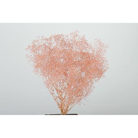 特価◎【プリザーブド】東花/ソフトミニカスミ シェルピンク 約22g/75829