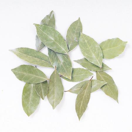 【ドライ】東花/ローレル 大袋 ナチュラル 約1kg/63077
