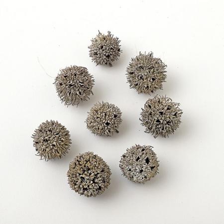 【ドライ】東花/アンバーバーム ミニ ミルキーウォッシュ 10個/75859