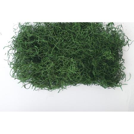【ドライ】東花/スパニッシュモス モスグリーン  約30g/71161