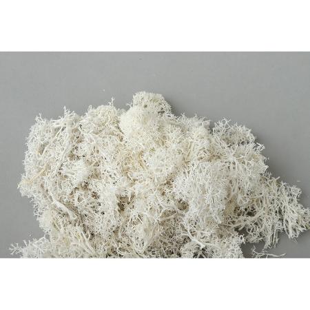 特価◎【プリザーブド】東花/フィンランドモス サラシ 約600g/71153
