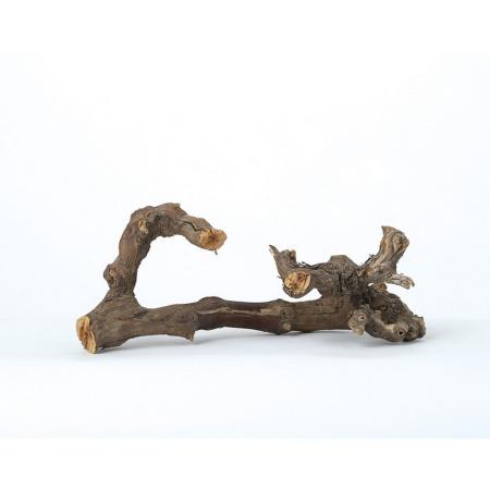 【直送】【ドライ】東花/グレープウッドブランチー ナチュラル 1本/10130 ※返品・代引・キャンセル不可