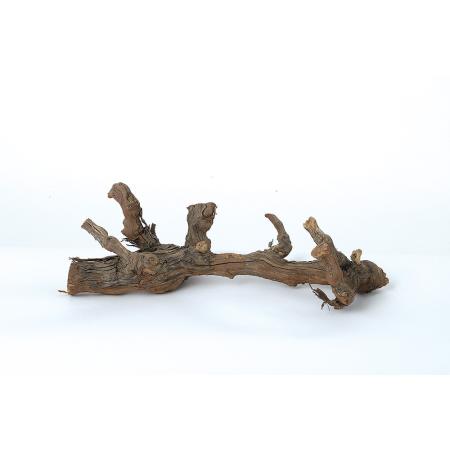 【直送】【ドライ】東花/グレープウッドブランチー ナチュラル 1本/10131 ※返品・代引・キャンセル不可