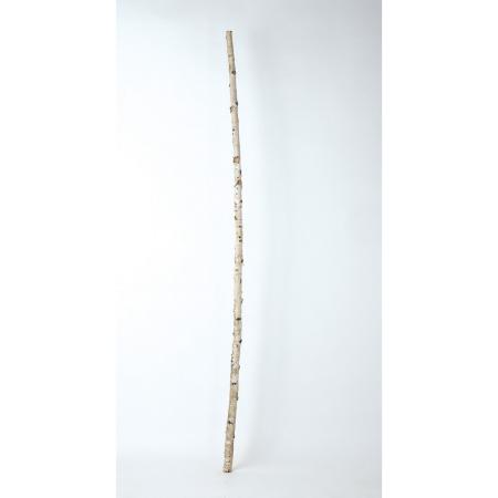 【直送】【ドライ】東花/白樺ポール ナチュラル 1本/10116 ※返品・代引・キャンセル不可