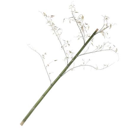 【直送】【ドライ】東花/モウソウ竹 枝葉付き ナチュラル 1本/10151 ※返品・代引・キャンセル不可