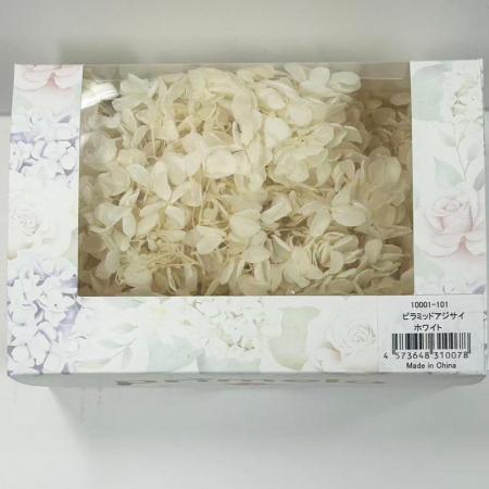 【プリザーブド】ピラミッドアジサイPrimelo ホワイト/10001-101