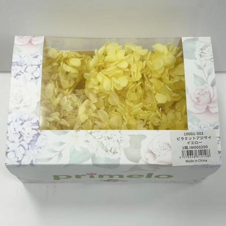 【プリザーブド】ピラミッドアジサイPrimelo イエロー/10001-502