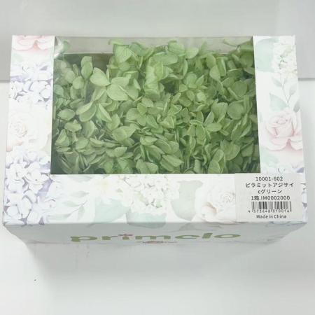 【プリザーブド】ピラミッドアジサイPrimelo cグリーン/10001-602