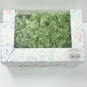 【プリザーブド】ピラミッドアジサイPrimelo ｃグリーン/10001-602