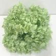 【プリザーブド】ピラミッドアジサイPrimelo cグリーン/10001-602