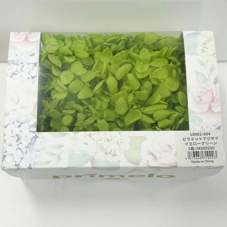 【プリザーブド】ピラミッドアジサイPrimelo イエローグリーン/10001-604