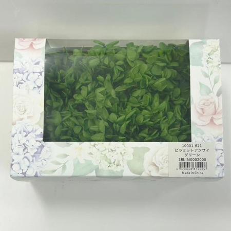 【プリザーブド】ピラミッドアジサイPrimelo グリーン/10001-621