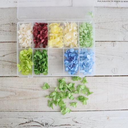 大特価◎【プリザーブド】ピラミッドアジサイPrimelo  花びらパーツの色見本 10色※数量限定