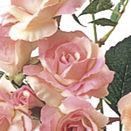 即日 造花 アスカ ローズピック 7 ダークピンク A 3d 通販 はなどんやアソシエ 即日 造花 アスカ ローズピック 7 ダークピンク A 3d 通販 はなどんやアソシエ