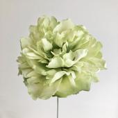 即日☆【造花】アスカ/ピオニーピック ホワイト/A-31454-1 - 花材通販