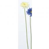 さくら‪✿［新品ラスト・PET2m］海外マステ 青年 三渡文創 卡阿斯兰 劇場版 カードキャプターさくら 封印されたカード No.213 スピネルサン