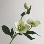 【造花】アスカ/クリスマスローズ×2 つぼみ×1　クリームグリーン/A-31116-53A