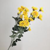 きくを様 Z/X -Zillions of enemy X- NF DramaCD ⑨ 「13姉妹 雪月花」 | CD