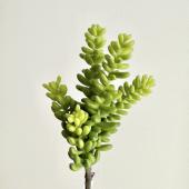 即日☆【造花】アスカ/サッカレンテン グリーン/A-41266-51A - 花材