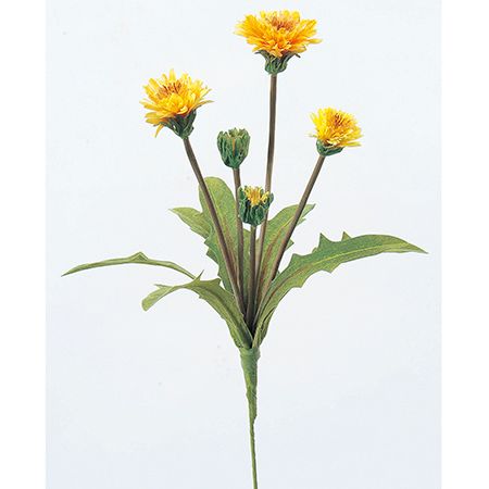 造花 アスカ タンポポ 3 つぼみ 2 イエロー A 10 通販 はなどんやアソシエ