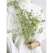 【造花】アスカ/アズラハンギングブッシュ　グリーン/A-40958-51A