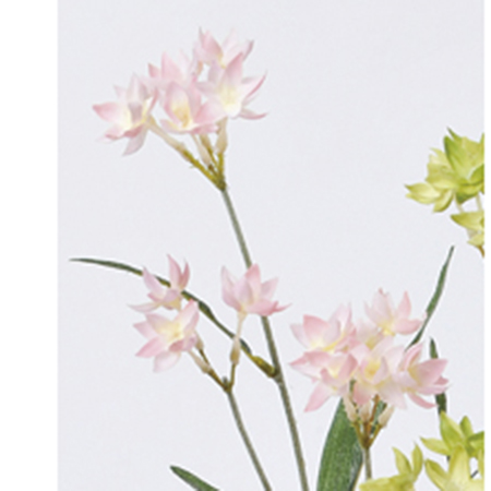 造花 アスカ ブバルディア 15 ライトピンク A 013 造花 アスカ ブバルディア 15 ライトピンク A 013