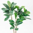 【直送】【人工観葉植物】アスカ/ラバーツリーポット(L)　グリ-ン/A-50802-051A※返品代引不可