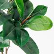 【直送】【人工観葉植物】アスカ/ラバーツリーポット(L)　グリ-ン/A-50802-051A※返品代引不可