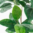 【直送】【人工観葉植物】アスカ/ラバーツリーポット(L)　グリ-ン/A-50802-051A※返品代引不可