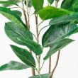 【直送】【人工観葉植物】アスカ/ラバーツリーポット(L)　グリ-ン/A-50802-051A※返品代引不可