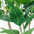 【直送】【人工観葉植物】アスカ/ラバーツリーポット(L)　グリ-ン/A-50802-051A※返品代引不可