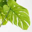 【直送】【人工観葉植物】アスカ/モンステラポット　グリ-ン/A-50813-051A※返品代引不可