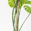 【直送】【人工観葉植物】アスカ/モンステラポット　グリ-ン/A-50813-051A※返品代引不可