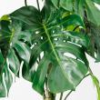 【直送】【人工観葉植物】アスカ/モンステラポット　グリ-ン/A-50813-051A※返品代引不可