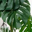 【直送】【人工観葉植物】アスカ/モンステラポット　グリ-ン/A-50813-051A※返品代引不可