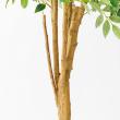 【直送】【人工観葉植物】アスカ/ファイカスツリー　(ポット付)　グリ-ン/A-50774-051A※返品代引不可