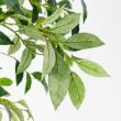 【直送】【人工観葉植物】アスカ/ファイカスツリー　(ポット付)　グリ-ン/A-50774-051A※返品代引不可