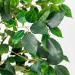 【直送】【人工観葉植物】アスカ/ファイカスツリー　(ポット付)　グリ-ン/A-50867-051A※返品代引不可