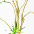 【直送】【人工観葉植物】アスカ/ユッカツリー　(ポット付)　グリ-ン/A-56004-051A※返品代引不可