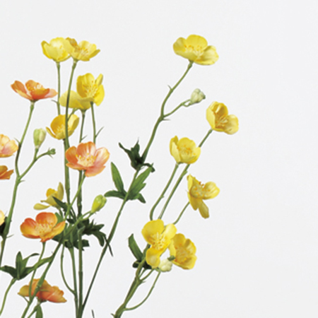 造花 アスカ バターカップ 12 つぼみ 3 イエロー A 010 通販 はなどんやアソシエ 造花 アスカ バターカップ 12 つぼみ 3 イエロー A 010 通販 はなどんやアソシエ