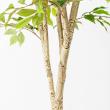 【直送】【人工観葉植物】アスカ/ファイカスツリー(ポット付) グリーン/A-50881-051A※返品代引不可