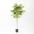 【直送】【人工観葉植物】アスカ/ファイカスツリー(ポット付) グリーン/A-50881-051A※返品代引不可