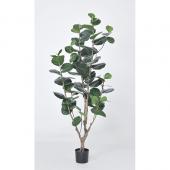 光触媒　観葉植物　ウォールグリーン　フェイクグリーン　インディアンアーモンド鉢有 直送】【人工観葉植物】アスカ/インディアンアーモンド(ポット付