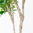 【直送】【人工観葉植物】アスカ/ローレルツリー #051A グリーン/A-50913-51※返品代引不可