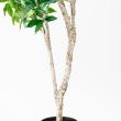 【直送】【人工観葉植物】アスカ/ローレルツリー #051A グリーン/A-50913-51※返品代引不可