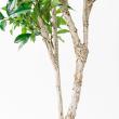 【直送】【人工観葉植物】アスカ/ローレルツリー #051A グリーン/A-50913-51※返品代引不可