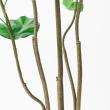 【直送】【人工観葉植物】アスカ/ウンベラータ(ポット付)/A-50936-051A ※返品代引不可